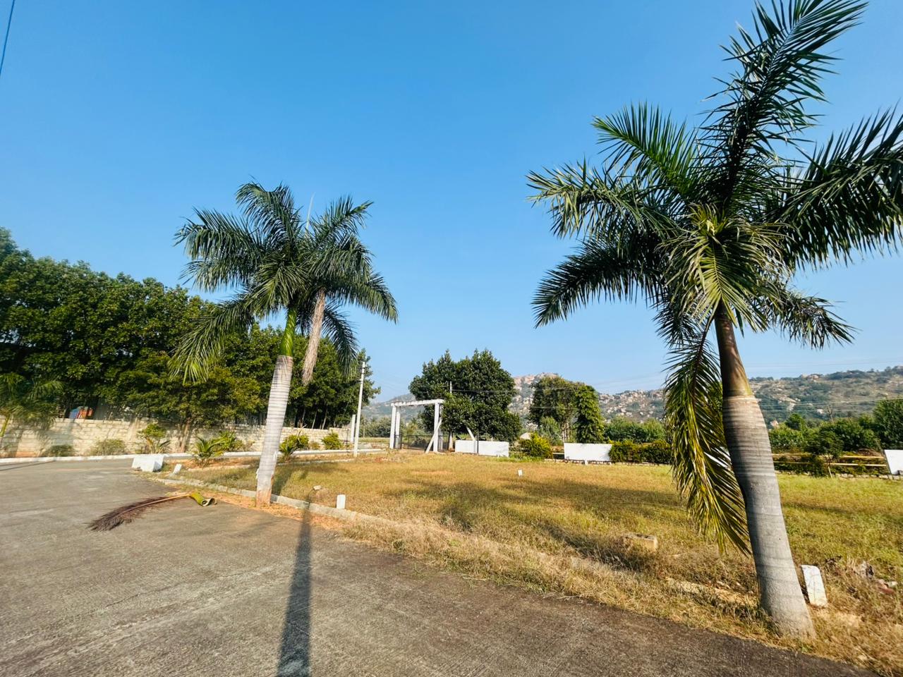 Entrance View
