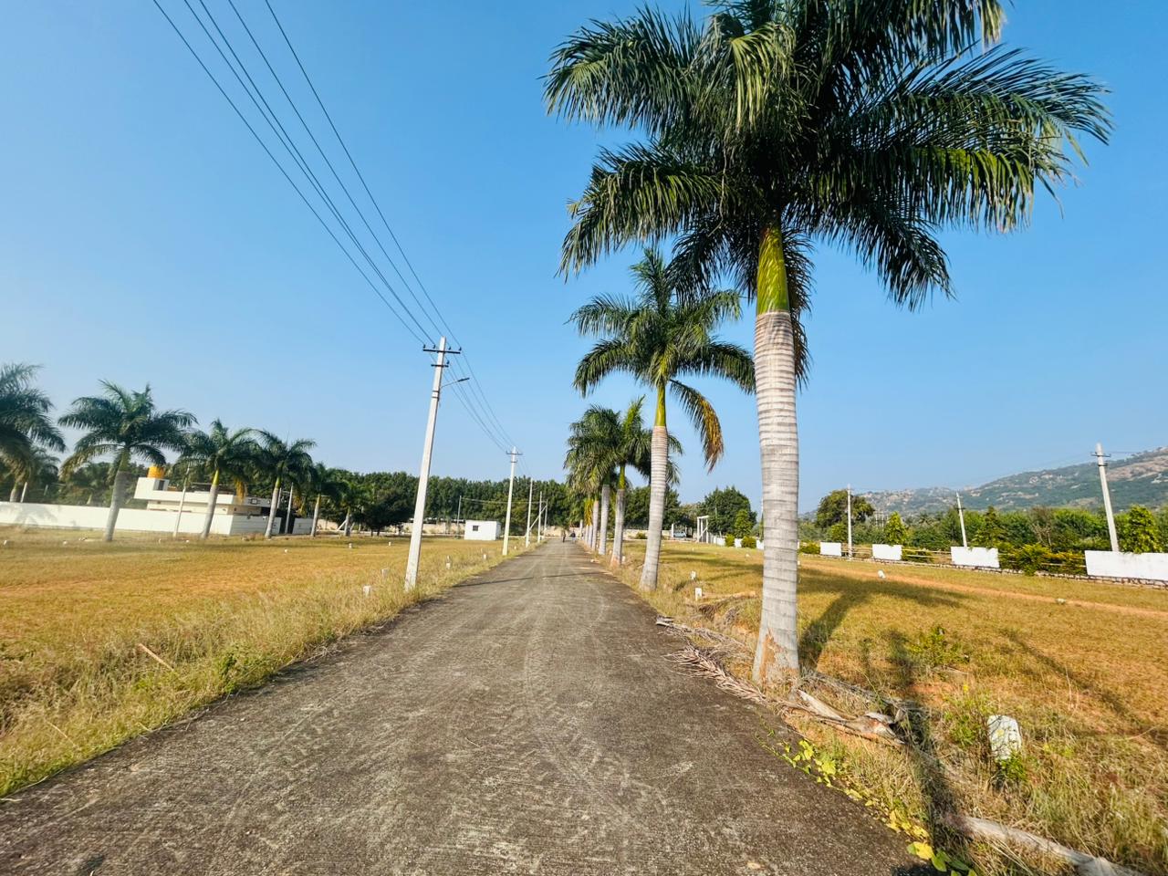 Internal Roads